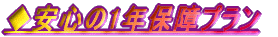 �����S��1�N�ۏ�v����